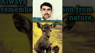 Some animals still show loyalty, #Nature #Animals #Wildlife #Loyalty #Kindness #AnimalLove #NatureLo