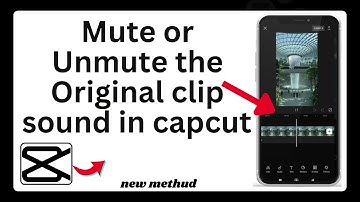 How to mute or unmute the original clip sound in capcut | capcut tutorial part 17