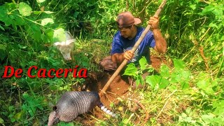 Cacería de Cusuco, oh Armadillo con Perros. Lo mejor de la Cacería