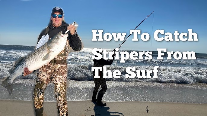 The SECRET To Catching Summer Striped Bass! (Surf Fishing) 