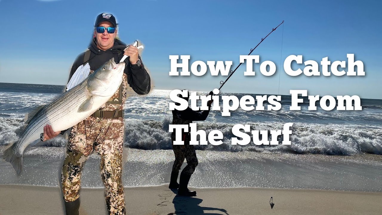 How to Catch Stripers from the Surf (Long Beach Island NJ) 