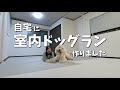 愛犬のために自宅に室内ドッグランを作りました！