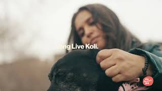 The Farmer's Dog Testimonial — Reshma & Koli