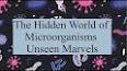 The Wonders of the Microscopic World: Exploring the Hidden Realm of Microorganisms ile ilgili video