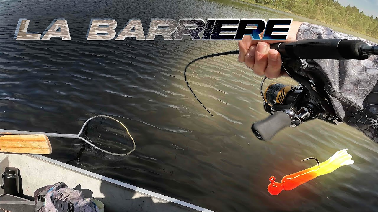 Combats ÉPIQUES contres salmonidés à l’auberge La Barrière | Séjour de pêche dans une pourvoirie