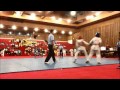 Palarong pambansa 2015 philippine taekwondo in focus