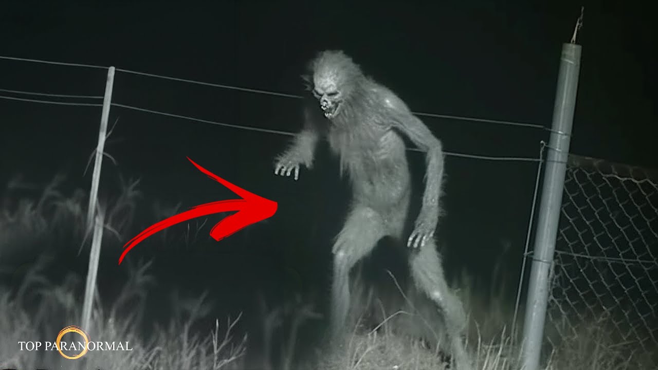 Terror Real 5 Videos de TERROR Reales Para NO Dormir /TERROR REAL / Parte 10 ...