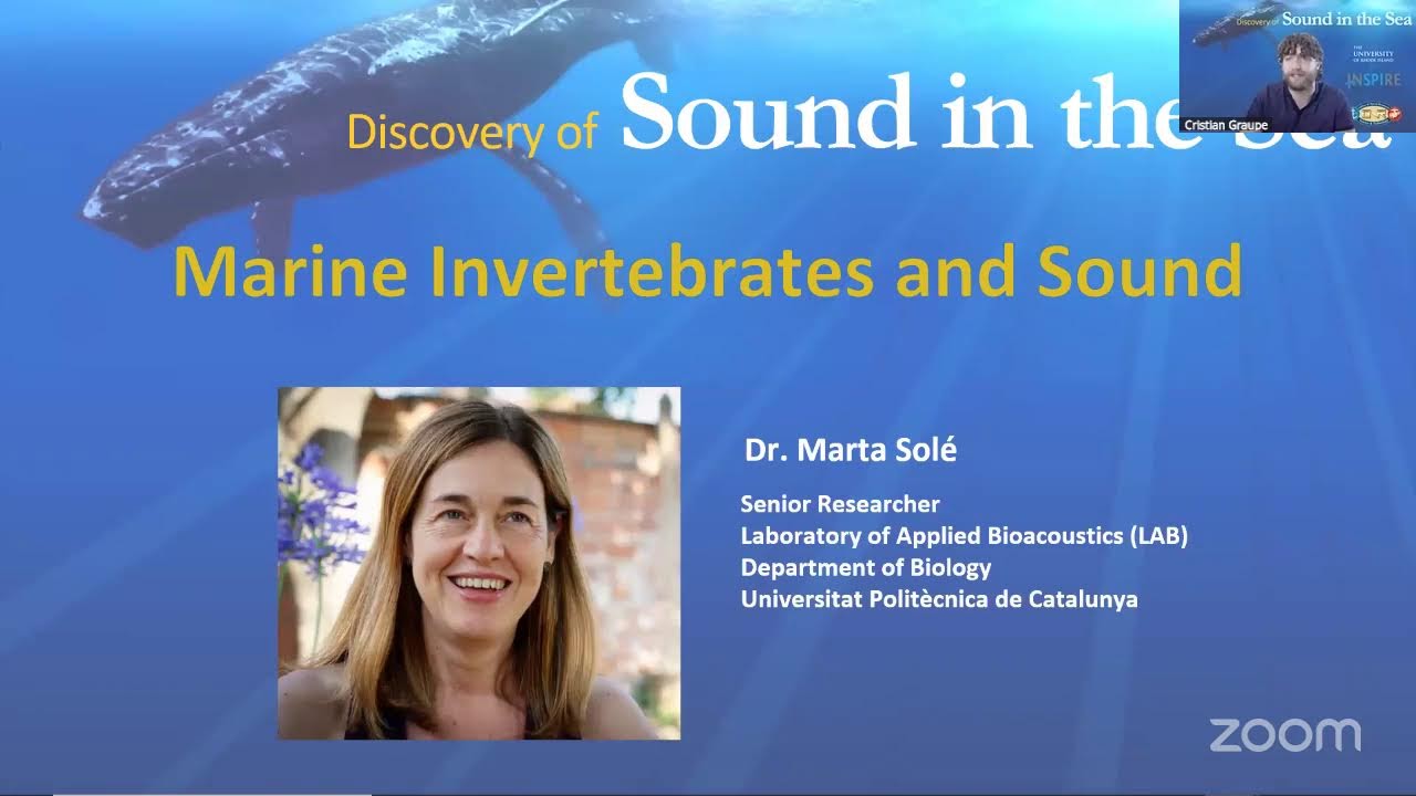 DOSITS Webinar - Invertebrates