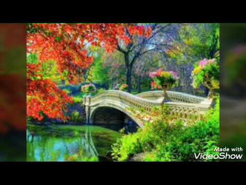 سوره النصر للأطفال مكرره 