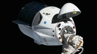 SpaceX Crew-10 Crew Dragon Docking