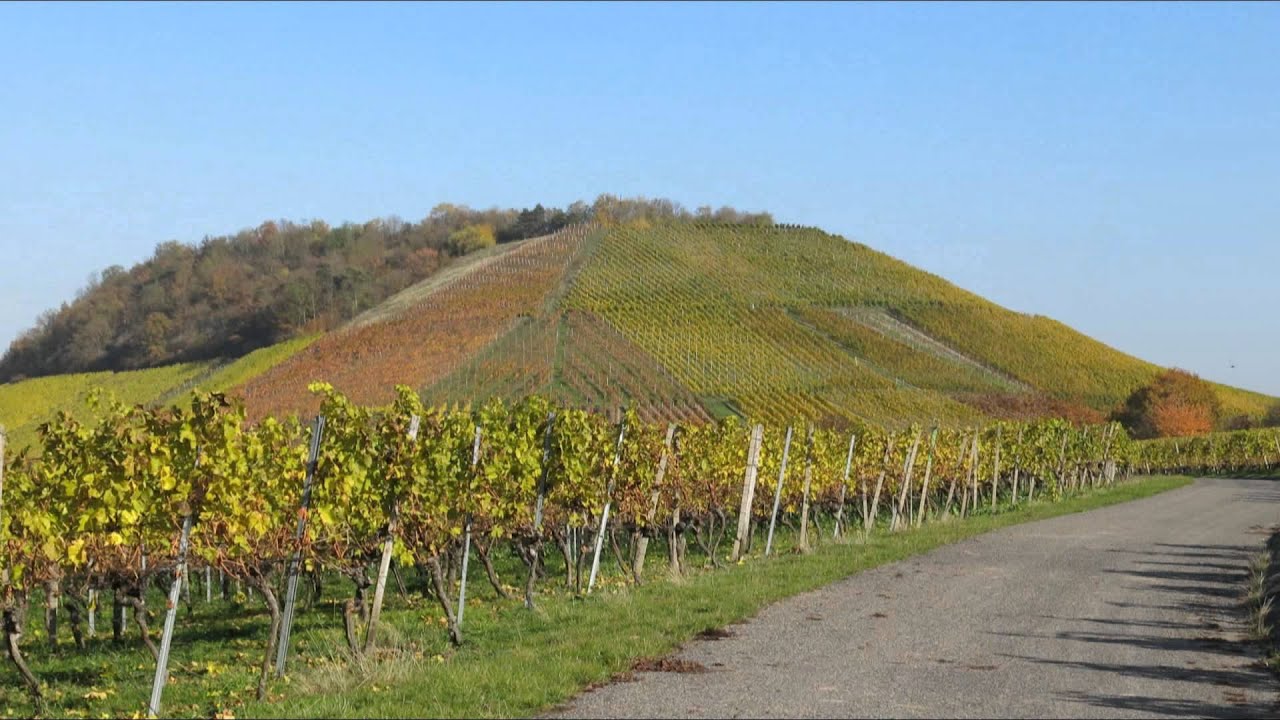 Wandern Franken: Bullenheim, Weinfranken im Spätherbst