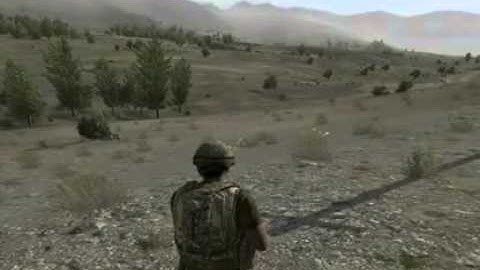 Comprehensive and In-Depth guide to commanding your ARMA II AI squad. Part 5 of 10 "Status  Menu"