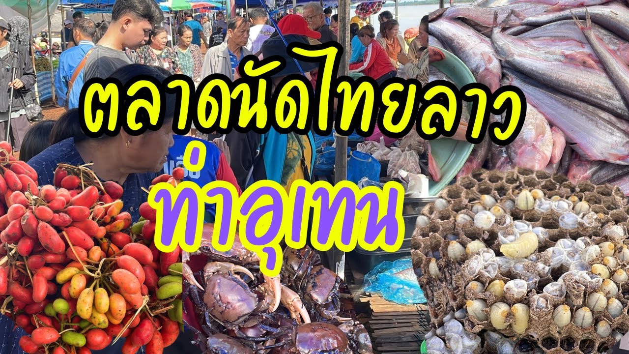 ตลาดนัดไทยลาว ท่าอุเทน ของป่าลาว ปูแดง ต่อหัวเสือ ปลาน้ำโขง หลายคัก 