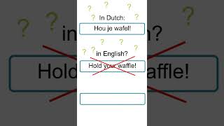 Funny Dutch (B2) hold your waffle  #dutchlanguage #learndutch