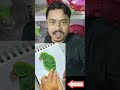 পাতা দি কি সুন্দর ছবি ♥️🤣❤️❤️#shorts #short #trending
