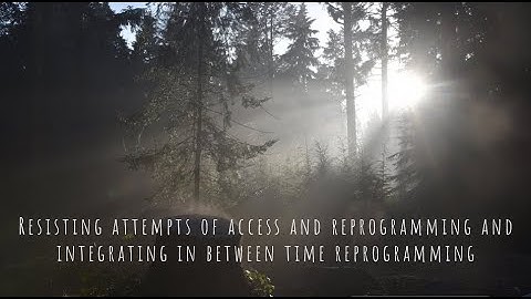 Resisting attempts of access and reprogramming and integrating in between time reprogramming