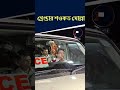 অবশেষে গ্রেপ্তার শওকত মোল্লা! বড় পদক্ষেপ NIA-এর | #bigbreakingnews #saokat_molla #timelessnews
