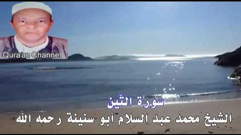 سورة التّين  محمد أبو سنينة برواية قالون