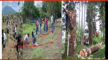 Dav,Class 4, Science,  Lesson 8 ,Causes of scarcity of water