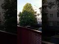 Доброе утро, мои родные люди #berlin