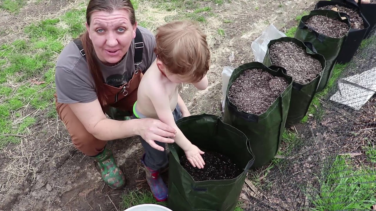 Potatoes in Grow Bags! YouTube