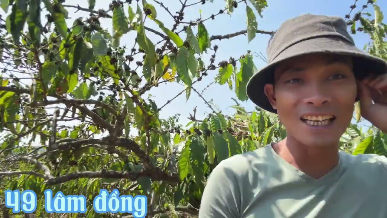 Caphe thê này giã cà bao nhieu thi mới có lời vây