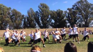 Tau Kappa Epsilon at Sonoma State Halftime Show 2013