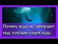 Почему вода не замерзает под толстым слоем льда