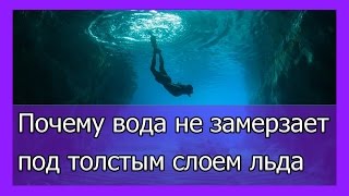 Почему вода не замерзает под толстым слоем льда