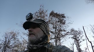 MOST TERRIFYING!!! in the Woods