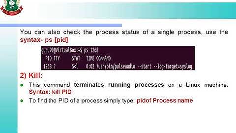 3.6 Execute Process Commands