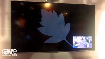 InfoComm 2015: StarLeaf Showcases GTm Videoconferencing Codec for Microsoft Lync in Spanish