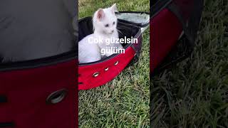 30 Eylül 2025