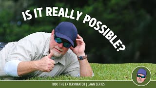 Is it REALLY Possible to Grow St Augustine grass in Shade?