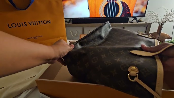 Louis Vuitton Neverfull, First Impressions