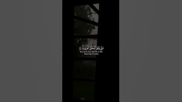 تلاوة خاشعة للشيخ ماهر المعيقلي #ماهر_المعيقلي #القرآن_الكريم