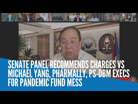 Senate panel recommends charges vs Michael Yang, Pharmally, PS-DBM execs for pandemic fund mess
