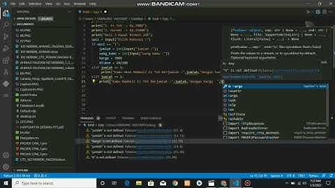 membuat progam kasir sederhana menggunakan phyton (Visual studio code)