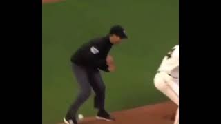 The Commentary Is Absolutely Insane Umpire Gets Hit In The Nuts By A Baseball