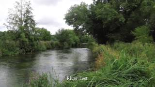 River Test - England: A Fly Fishing Pilgrimage