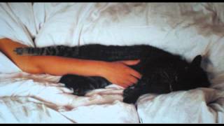 Sweet Talk - All-Overs