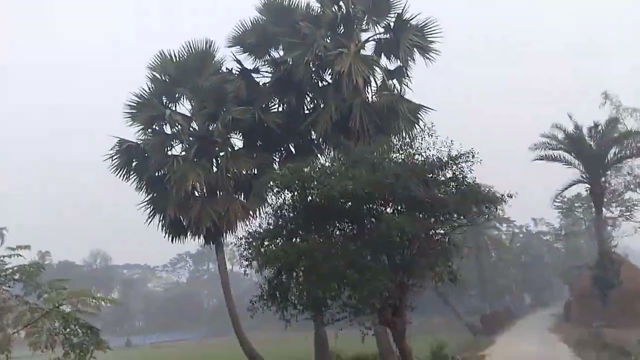 সবুজের বুক চিরে,গোধূলির আলোয় রাস্তা দিয়ে হাঁটতে খুব ভালো লাগে,,,,,,,?