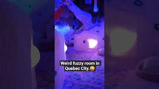 Quebec City, Canada 2024 #lifeisbutadream #travel #quebec