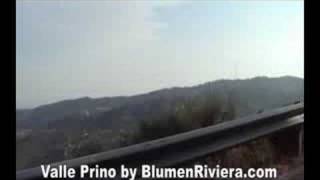 Prino-Tal Part Two By Blumenriviera.de