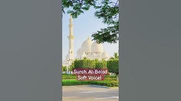 মন কাড়া সুরে চমৎকার তিলাওয়াত | Surah Al-Balad | সূরা আল-বালাদ | سورة البلد |  নিরাপদ নগর | The City