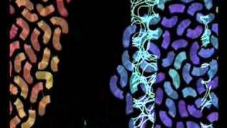 Rote Laterne Tagtool Animation