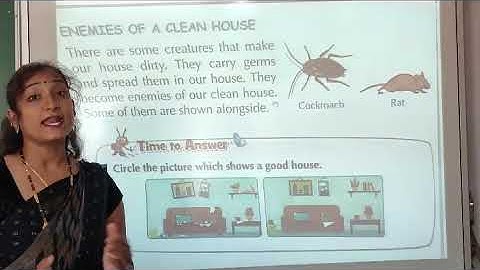 NCERT | CLASS II | EVS | Ch 8 | Houses We Build | PART 2