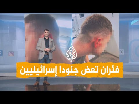 شبكات | جرذان تأكل أنوف وآذان جنود إسرائيليين في قاعدة عسكرية