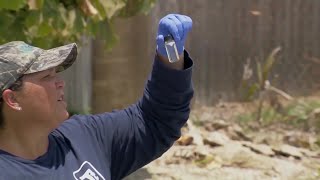 Feds reopen investigation into potentially cancer-causing military waste in Brevard