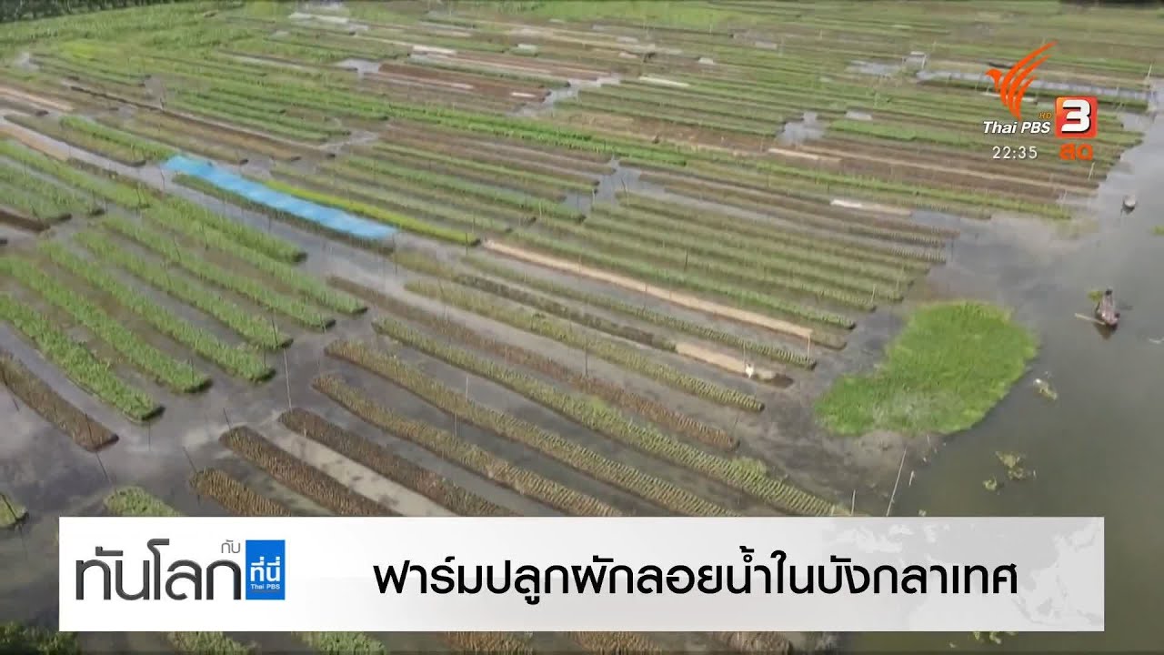 ฟาร์มปลูกผักลอยน้ำในบังคลาเทศ-ฟาร์มโซลาร์เซลล์ลอยน้ำสิงคโปร์